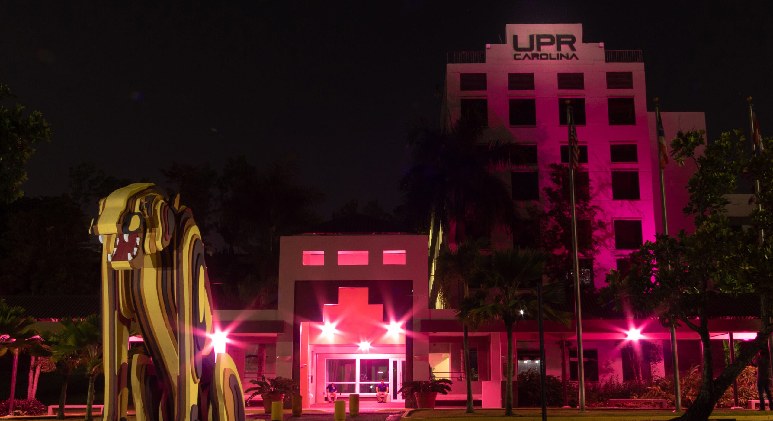 Fachada de la UPR en Carolina de rosa